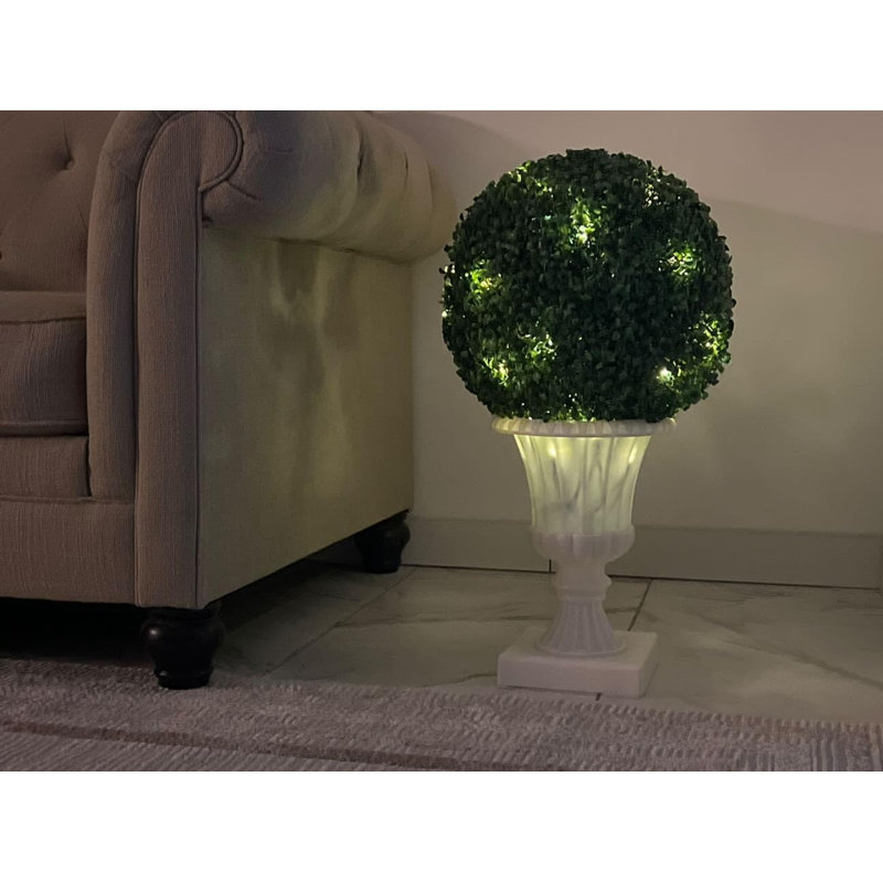 68.6cm Plant, White