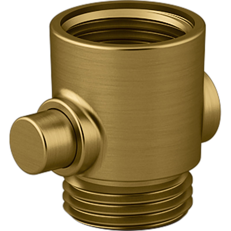 Adaptateur de tuyau de douche à main déclaration ADA, Laiton moderne brossé éclatant