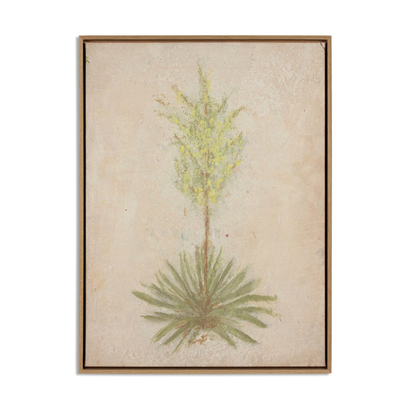 Desert Flora Triptych Set by Paul Meyer, 24" H x 54" W