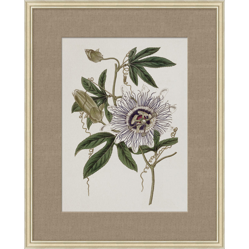 Floral Study In Plum 4 Painting