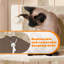 Arion 179cm H Cat Tree-1532477262