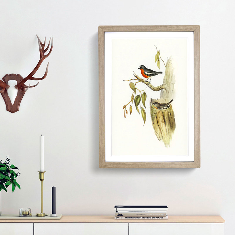 Flame-Breasted Robin by Elizabeth Gould - Picture Frame Painting Print, 36cm H x 27cm W x 2cm D, Oak Framed