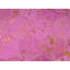 Round Croix Patchwork Hand Woven 140cm X 140cm Area Rug
