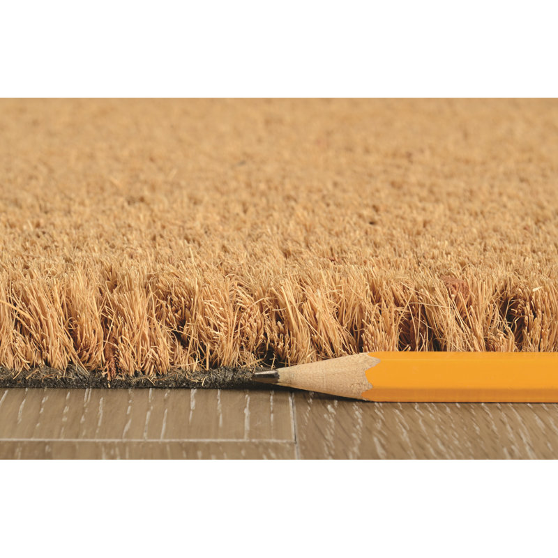 Tapis d'extérieur antidérapant Kasper, L 17 po x L 29 po, Brun clair
