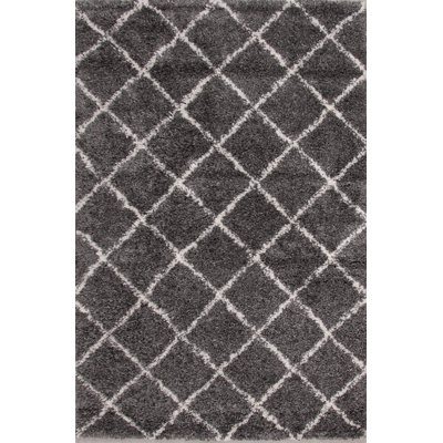 Cedarburg Geometric Shag Area Rug