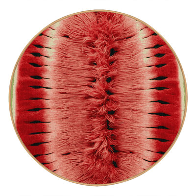 Washable Watermelon Seedless Fruits Area Rug