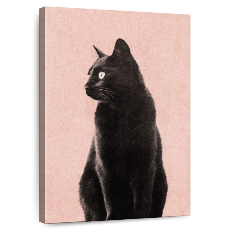 Brampt Black Cat Peach, 45" H x 30" W