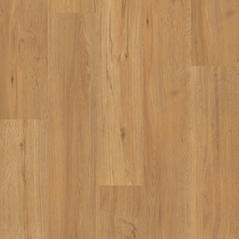 Centennial 6" x 48" x 2mm Oak Glue Down Luxury Vinyl Plank, Captivating