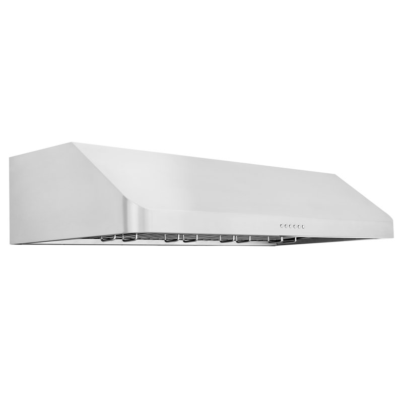 ZLINE 48” Alpine Series Under Cabinet Range Hood in Stainless Steel with Remote Control, LED lighting, and Dishwasher-Safe Baffle Filters (ALP10UC-48)