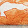 Coleman Hand Tufted Wool/Cotton Floral Rug in Ivory/Orange