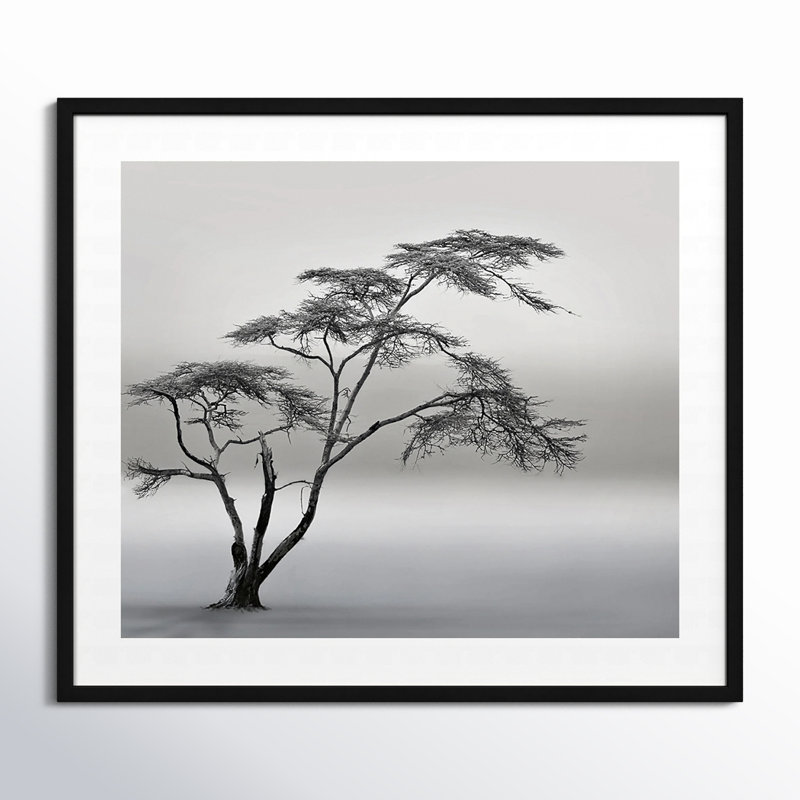 Tree Silhouette by Piet Flour, Black, 36.5" H x 41.38" W x 0.88" D