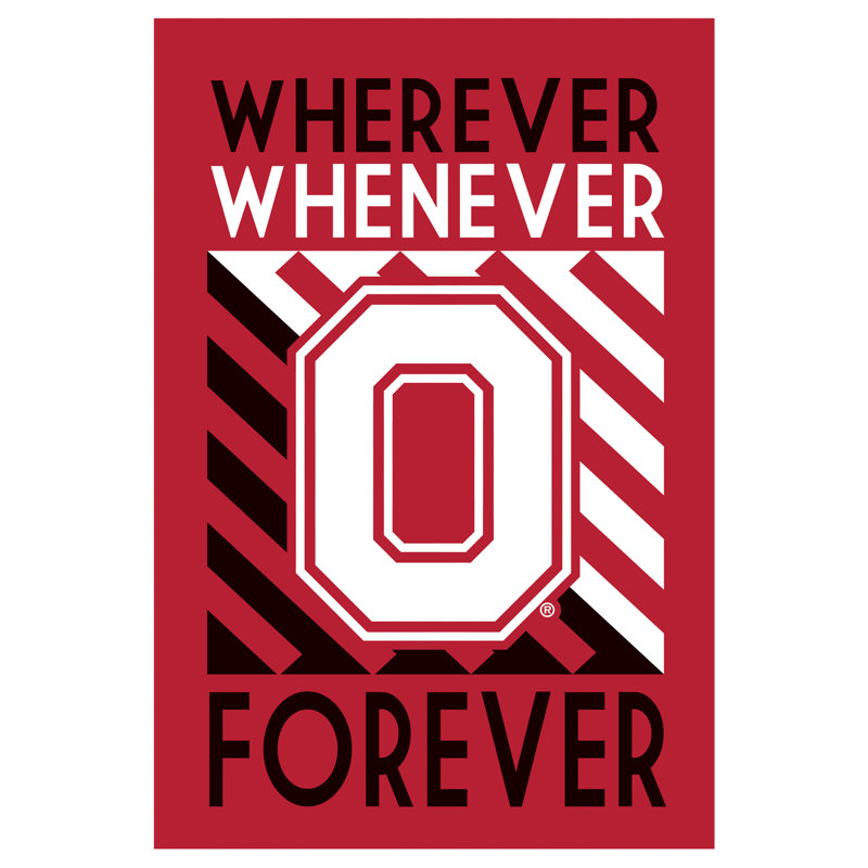 Drapeau de maison en polyester Deeric 0,05 x 4 po, Ohio State University