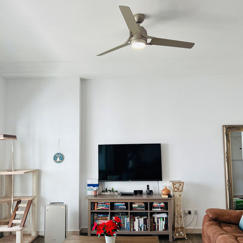 Leesanne 60cm Ceiling Fan with LED Lights