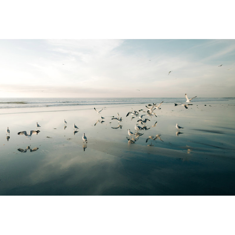 Morgan J Hartley - Wrapped Canvas Print, 51cm H x 76cm W x 3.81cm D