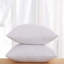 Square Pillow Insert-49165655