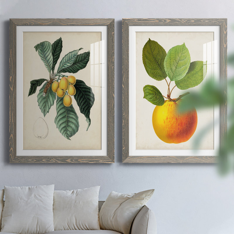Feuillage antique et fruit VI - ensemble de 2 reproductions d'art sur papier encadré, H 31,5 po x l 47 po x P 1,5 po