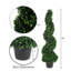 Plante topiaire en buis Darby Home Co