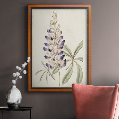 Toile encadrée de qualité supérieure Antique Botanical Collection II - prête à être accrochée