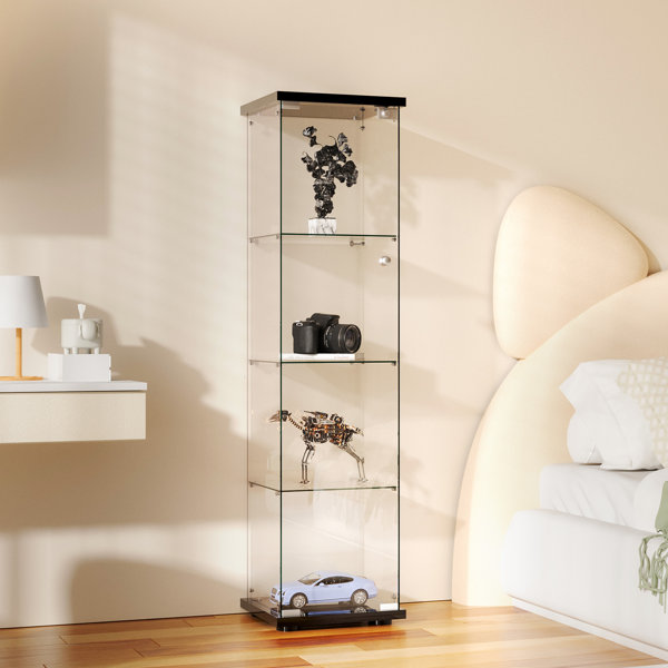 https://assets.wfcdn.com/im/67044364/resize-h600-w600%5Ecompr-r85/2521/252136679/Khamarion+Glass+Display+Cabinet%2C+Curio+Storage+Cabinet+with+Door+and+Lock.jpg