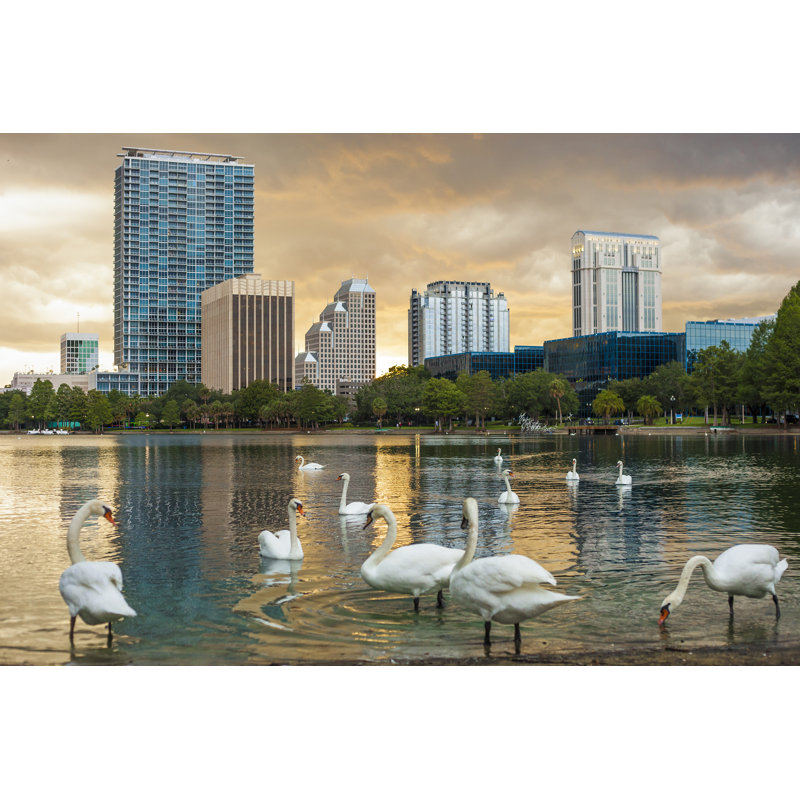 Florida - Wrapped Canvas Print, 51cm H x 76cm W x 3.8cm D