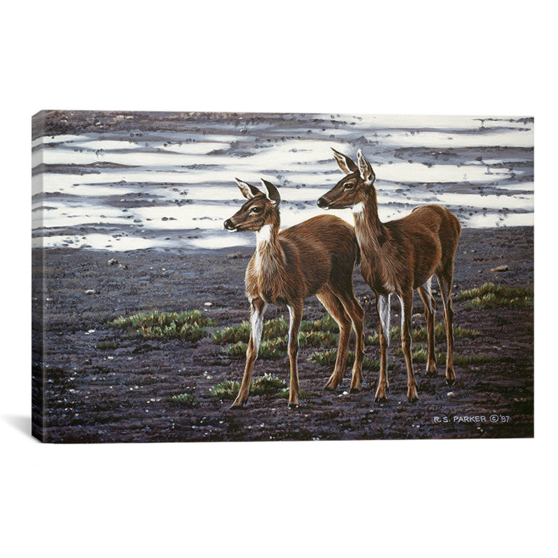 « on the flats » par reproduction d’art sur toile Ron Parker, H 8 po x l 12 po x P 0,75 po
