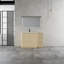 Meuble-lavabo autoportant de 48 po avec armoire de rangement assortie