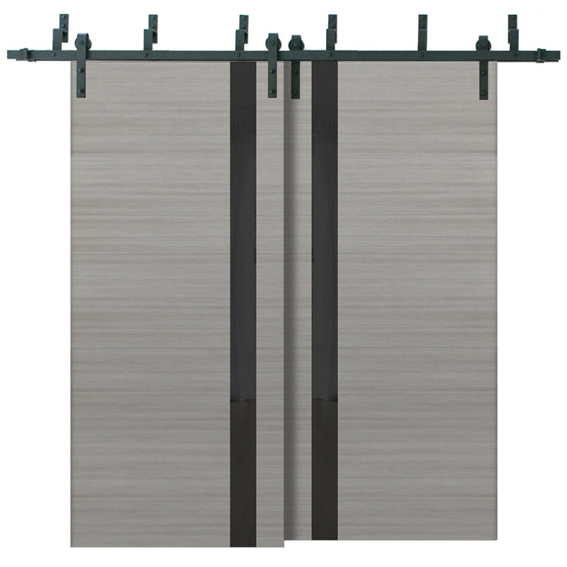 Portes coulissantes en verre givré Planum, Gris cendré / noir, 36 po x 96 po