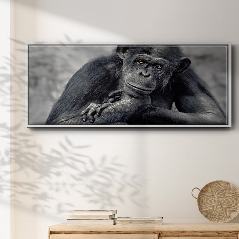 Captivated- Framed Canvas, 20" H x 50" W