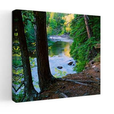 View of Gooseberry River through forest trees Gooseberry Falls State Park Minnesota USA. 1 Piece Wrapped Canvas Wall Art