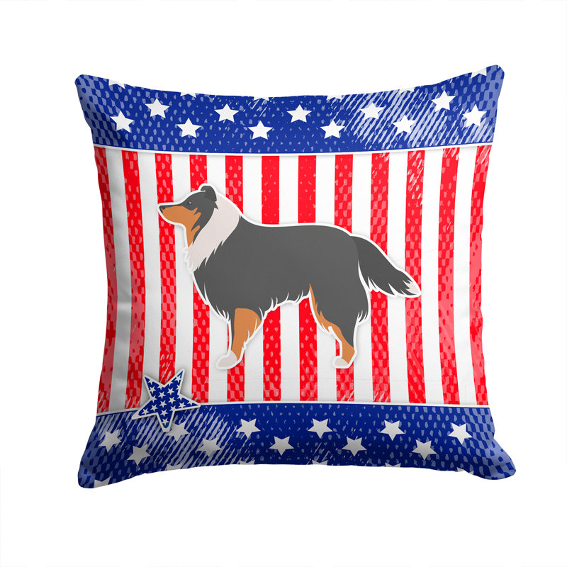 Coussin intérieur/extérieur Patriotic, H 18 po x l 18 po x P 3 po, Bleu / rouge