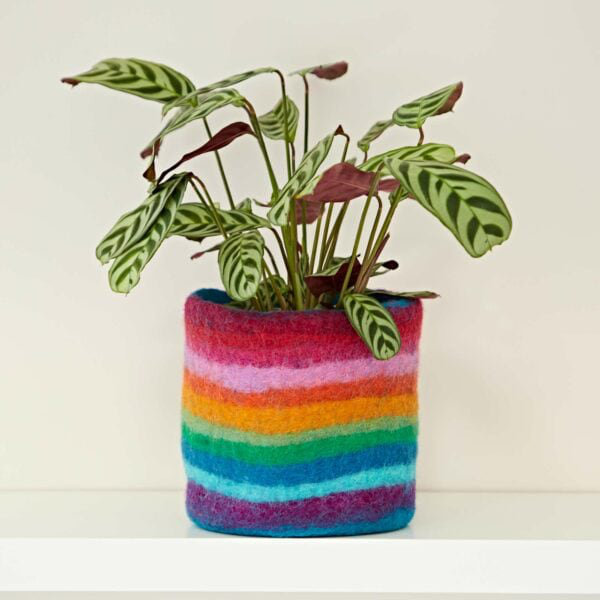Plant Stand, Rainbow