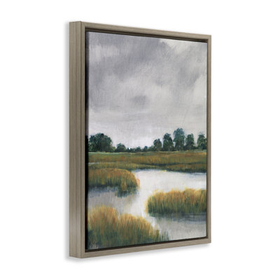 Paysage de marais nuageux