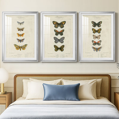 3 pièces