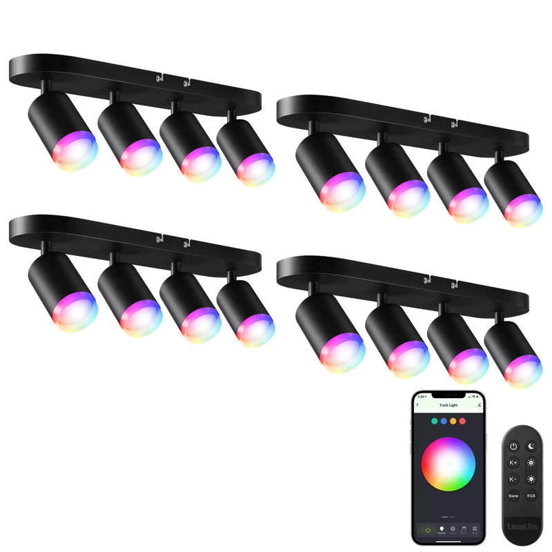 20'' 4 -Light Fixed Track Track Kit with Dimmable and Adjustable Head