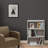 Hinshaw Bookcase-2135484387