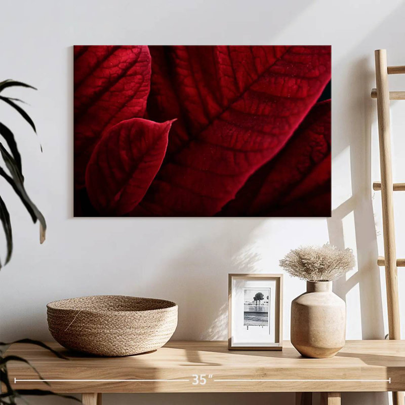 Bractées rouges de poinsettias, H 16 po x l 24 po