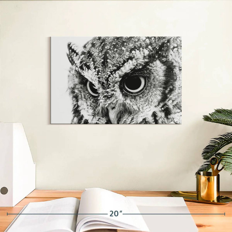 Hibou Brampt, H 8 po x l 12 po