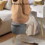 Velvet Storage Upholstered Accent Stool-480798957