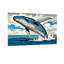 Animal, baleine, saut, océan, vagues, ciel, oiseaux, nuages-171296276-171296267-171296270