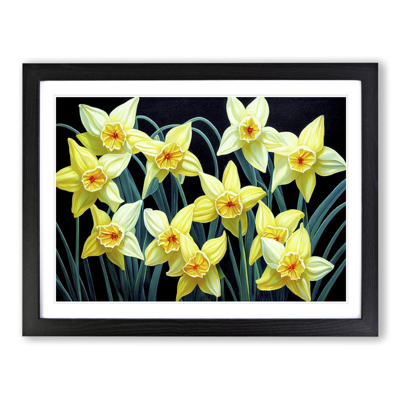 Angelical Daffodil Flowers - Framed Print