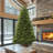 Dunhill Fir Fir Tree-2032998416