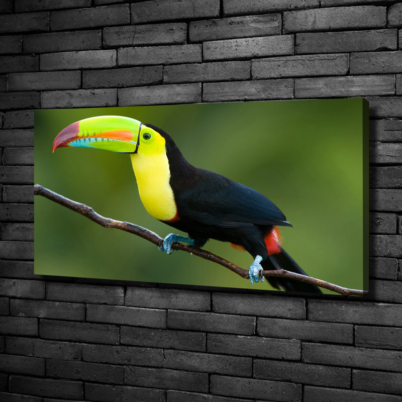Toucan - No Frame Print on Canvas