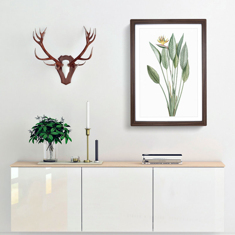 Bird of Paradise Flower by Pierre-Joseph Redoute - Picture Frame Painting Print, 48cm H x 36cm W x 2cm D, Walnut Framed