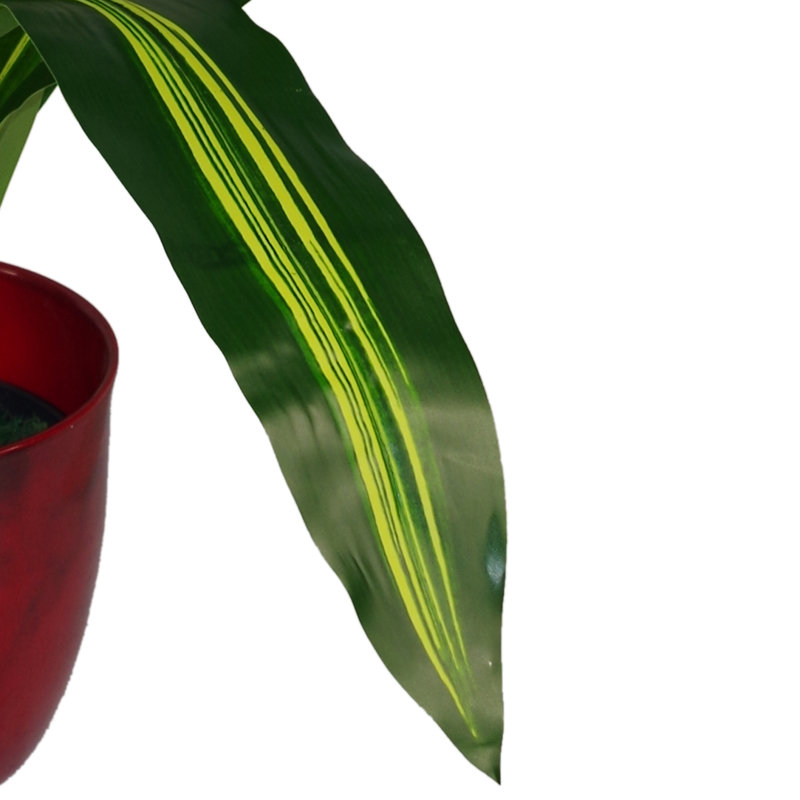 Annistyn 90cm Faux Dragon Tree in Pot