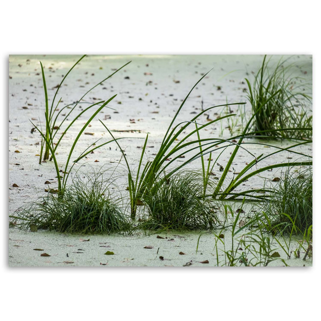 Leinwandbild Beach Sand Grass Green