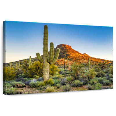 Sonoran Desert
