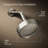 Purist 2.5 GPM Fixed Shower Head-4095208