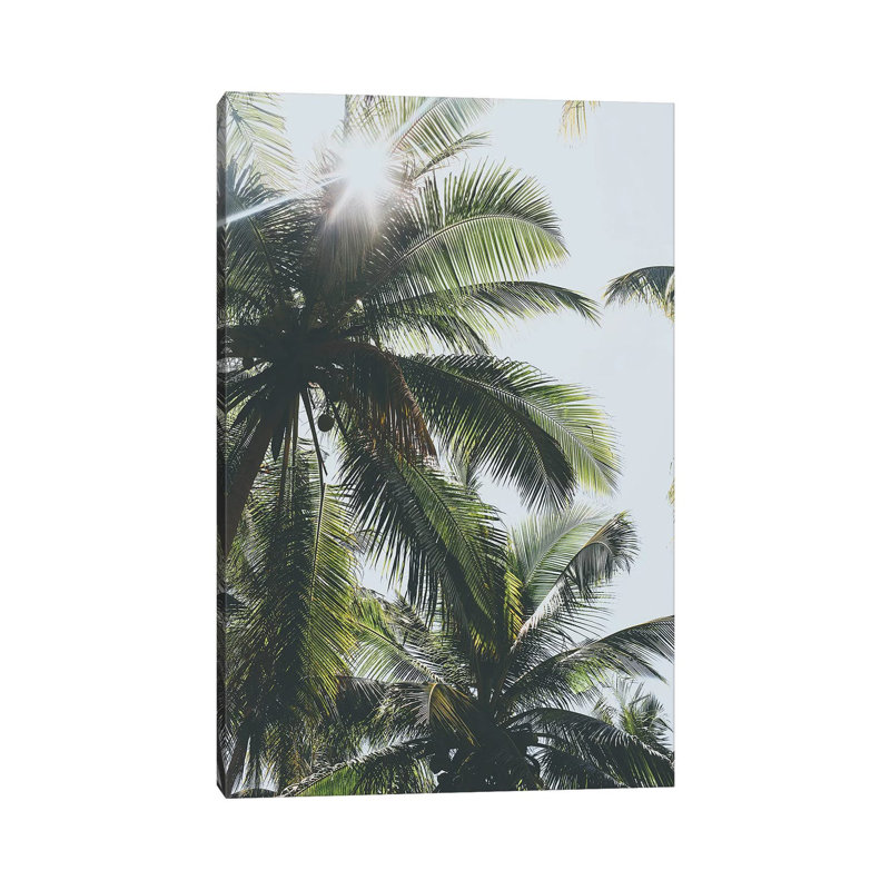 Palm Trees In The Philippines by Luke Anthony Gramme - Wrapped Canvas Print, 66.04 cm H x 45.72 cm W x 3.175 cm D