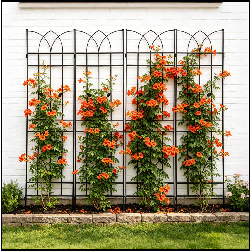 Ensemble de 4 treillis de jardin en métal 71 po x 17,7 po antirouille pour plantes grimpantes