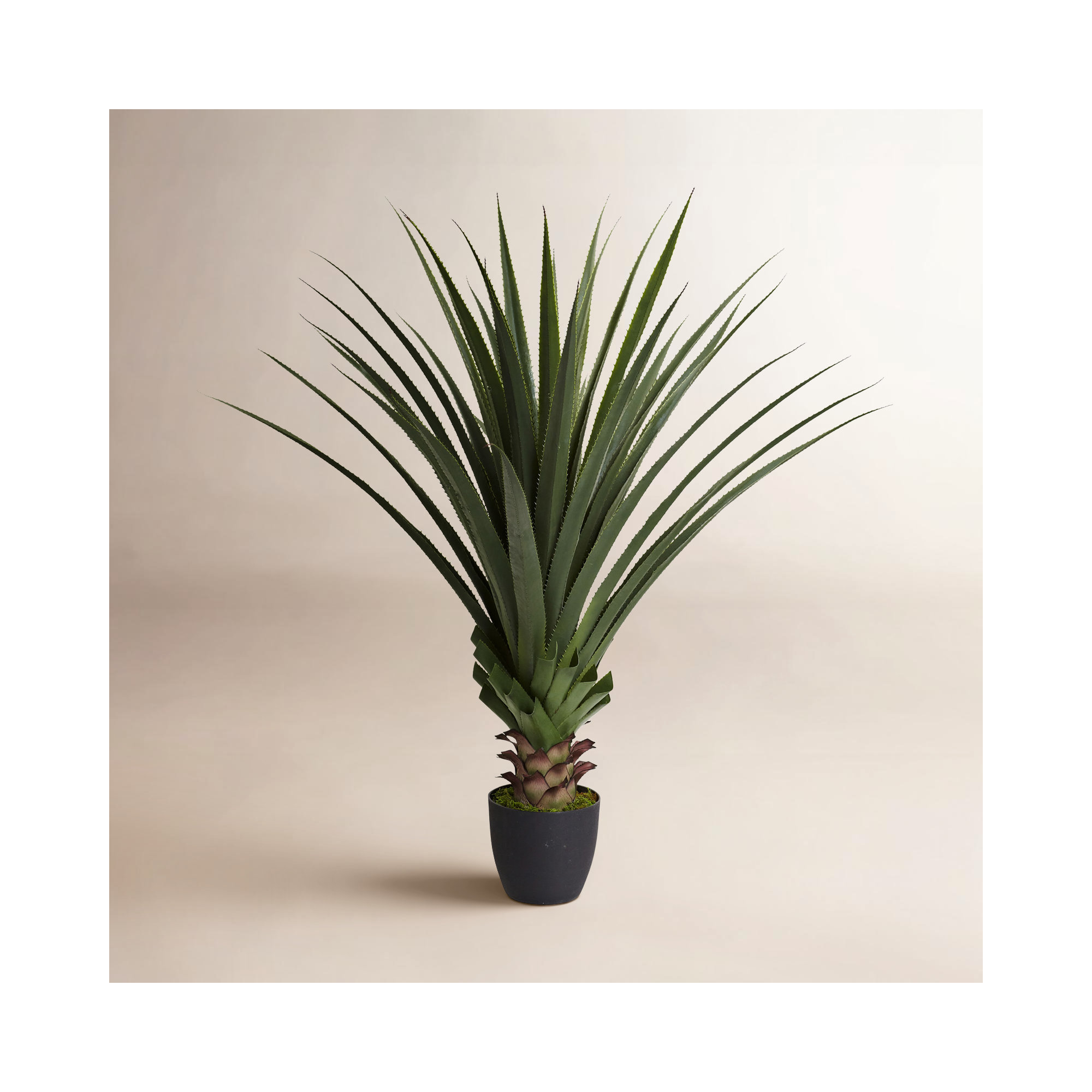 48'' Faux Agave Succulent in Pot